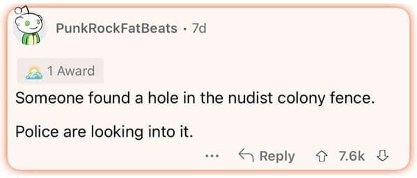Screenshot of a framed Reddit comment box by user PunkRockFatBeats dropping a short, double-entendre dumb joke: "Someone found a hole in the nudist colony fence. Police are looking into it."