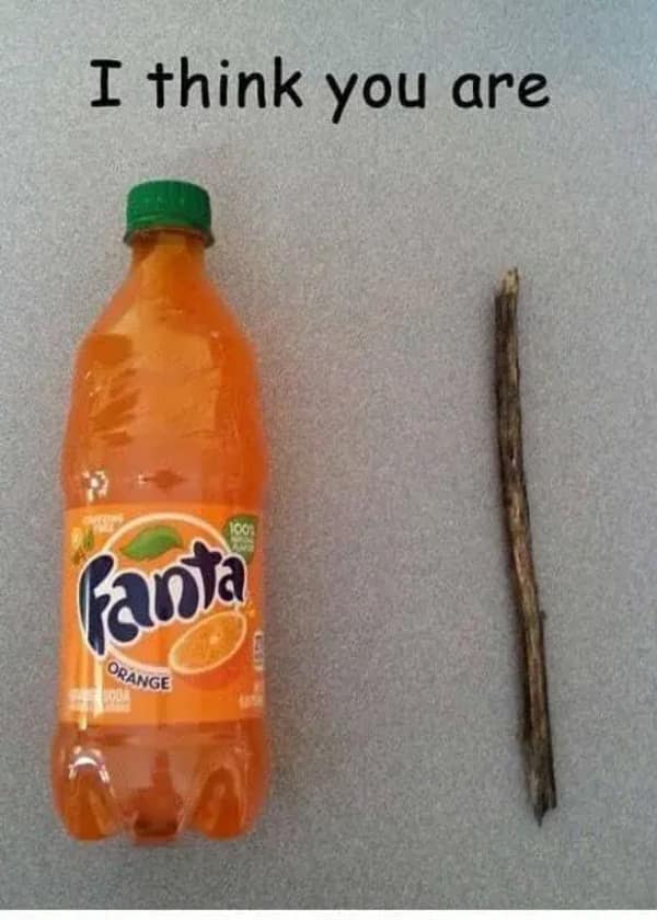 visual charade rebuses style dumb meme displaying an orange bottle of Fanta soda placed right next to a small wooden tree branch underneath the sentence starter, "I think you are," phonetically spelling out "Fanta-stick."