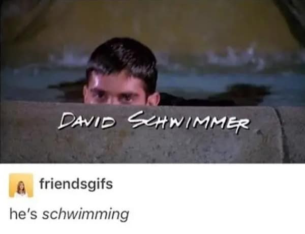 A brilliant television subtitle pun operating as a dumb meme catches Ross Geller peeking over the water line of a fountain with the actor credit text "DAVID SCHWIMMER," met with a deadpan Tumblr caption reading, "he's schwimming."