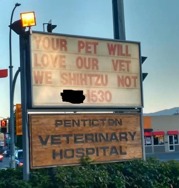 A roadside business sign archived as a dumb meme highlights a marquee board for the Penticton Veterinary Hospital that hilariously tells passing drivers, "YOUR PET WILL LOVE OUR VET WE SHIHTZU NOT."