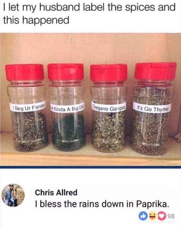 A kitchen organization post deployed as a dumb meme shows four spice jars labeled with custom puns like "I Beg Ur Parsley" and "Oregano Gangsta," met with a legendary social media comment by Chris Allred: "I bless the rains down in Paprika."