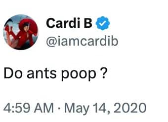 Cardi B asking a random biological question about insect bowel movements on Twitter.
