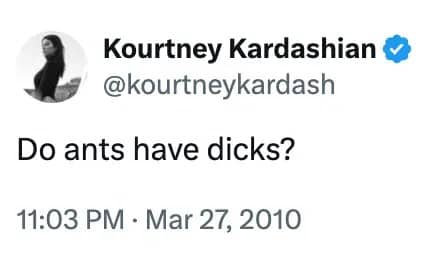 Kourtney Kardashian asking a blunt question about ant anatomy on her Twitter account.