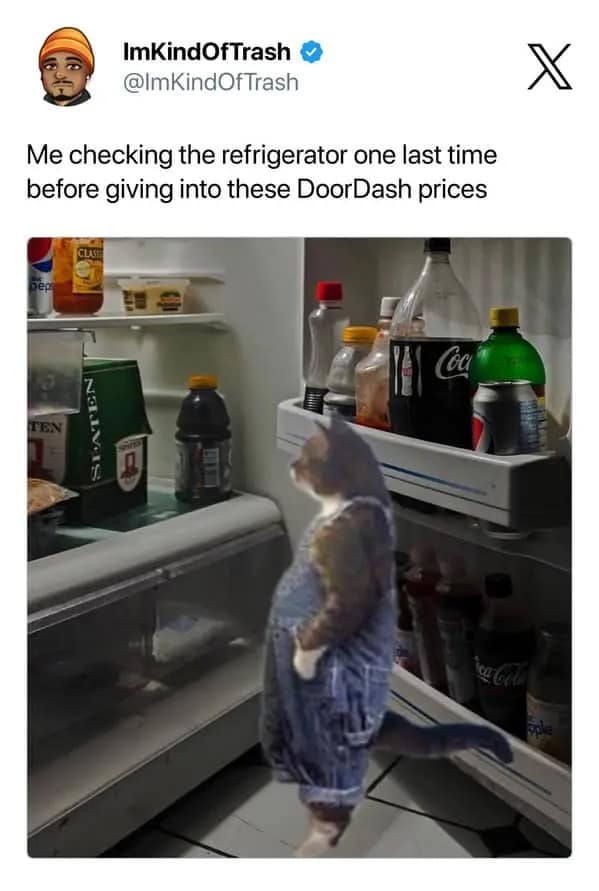 Food delivery meme showing a personified cat standing in front of an open refrigerator with the caption “Me checking the refrigerator one last time before giving into these DoorDash prices,” capturing the final hopeless inventory scan before surrendering to fees, cravings, and emotional capitalism.