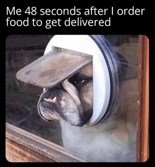 Food delivery meme showing a dog pressing its face through a mail slot with the text “Me 48 seconds after I order food to get delivered,” turning every hungry customer into a window-stalking goblin monitoring the driveway like national security.
