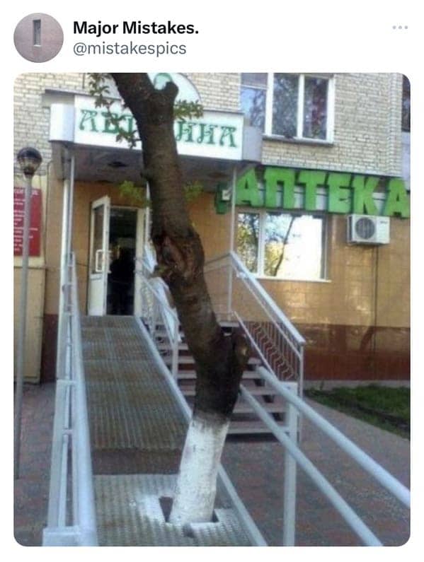 Ridiculous wheelchair ramp construction mistake with a tree trunk growing directly through the metal walkway.