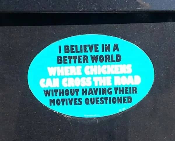Oval teal sticker expressing a utopian belief about chickens crossing roads safely.