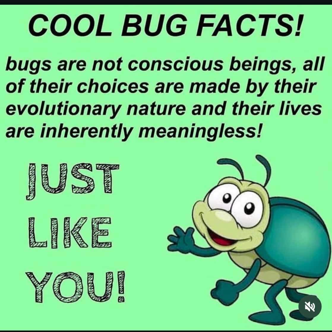 Funny memes image featuring a cartoon beetle sharing an existential crisis joke about bugs.