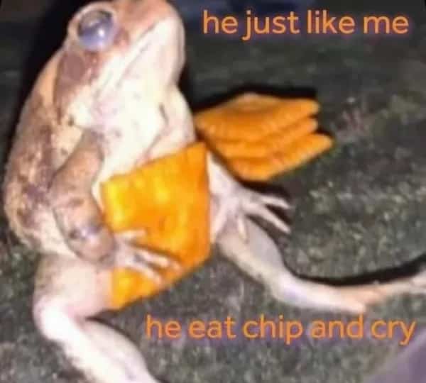 Sad frog sitting down with cheese crackers captioned with a funny memes quote.