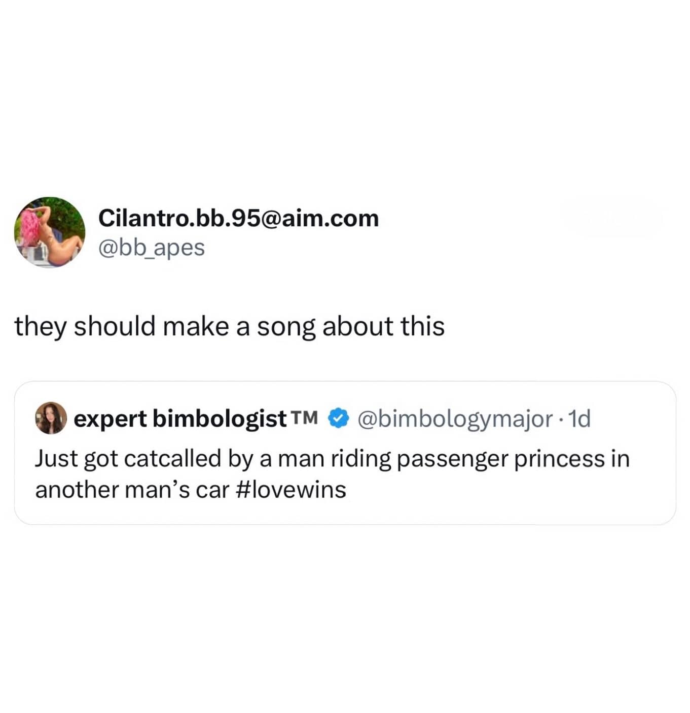 Funny text post meme about getting catcalled by a man riding passenger in a car.