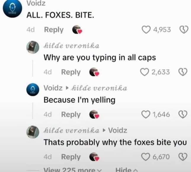 Online comment thread showing a witty exchange about yelling and getting bitten by foxes.
