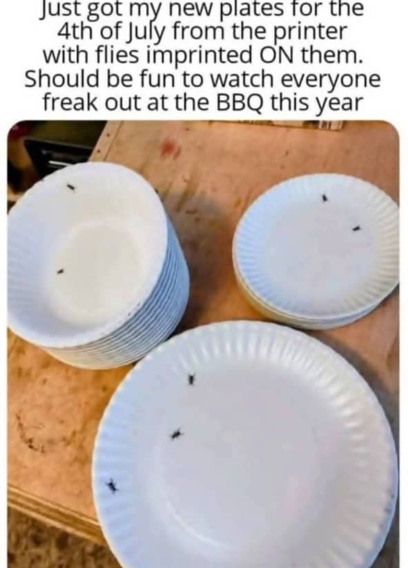 Stack of white paper plates and bowls featuring realistic printed flies for a practical joke.