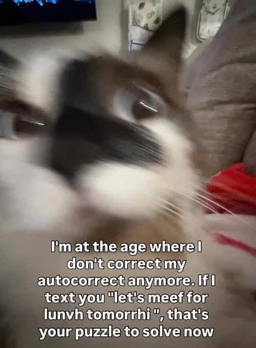 Blurry cat face text meme expressing an unbothered attitude toward cellphone typos.