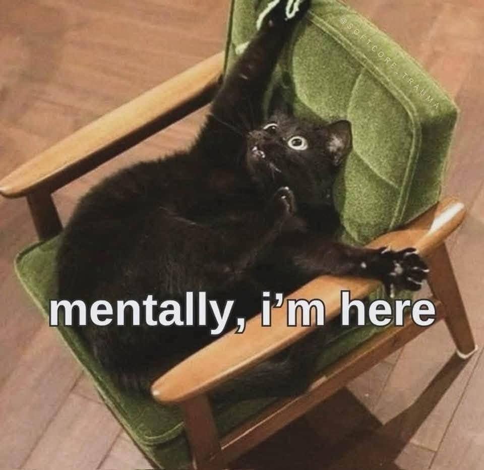 Black cat tangled awkwardly upside down in a green armchair mentally I'm here meme.