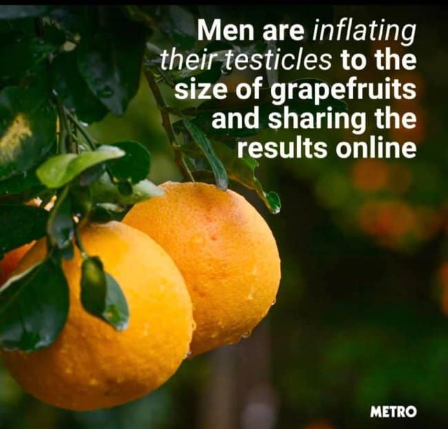 A wild wellness trend summary working as a funny news headline from Metro displays a vibrant close-up photograph of two large orange grapefruits hanging from green leafy citrus branches under the text line: "Men are inflating their testicles to the size of grapefruits and sharing the results online."