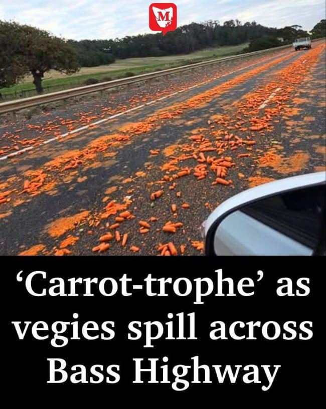 A spectacular highway spill captured in a funny news headline layout shows a highway lane completely carpeted in thousands of loose orange carrots, punctuated by an elite agricultural pun banner: "'Carrot-trophe' as vegies spill across Bass Highway."