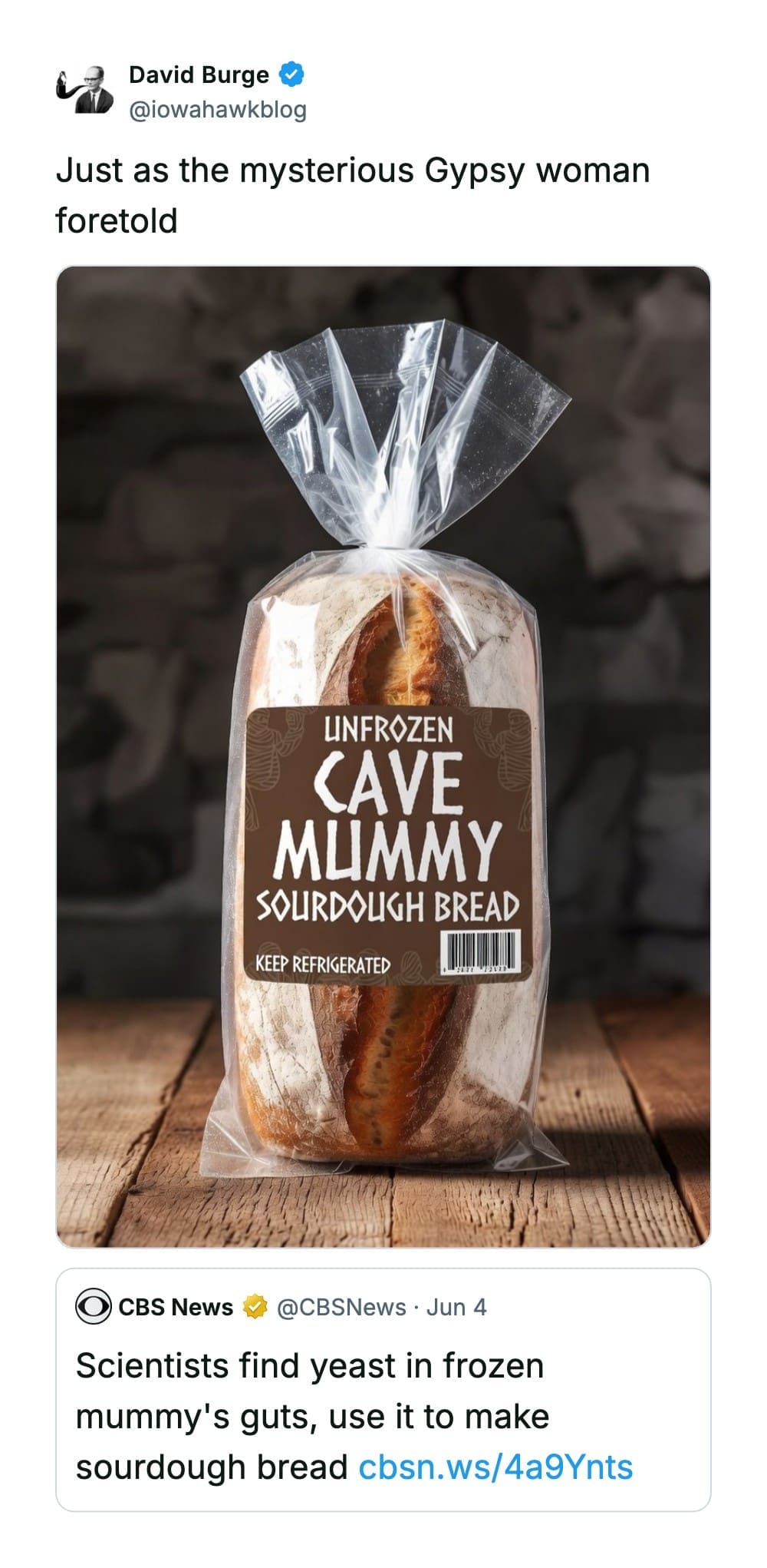 Product mock-up image of a sourdough bread loaf in plastic packaging branded "Unfrozen Cave Mummy" inside a funny quote tweet by David Burge.