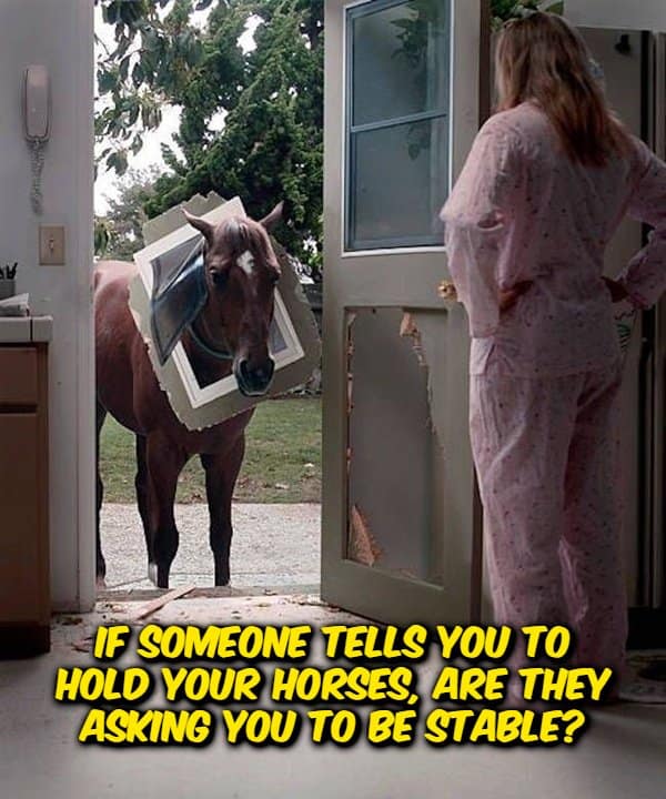 A funny shower thought image showing a brown horse with a white window frame stuck around its neck peeking through a broken door at a woman in pink pajamas, overlaid with the text: "If someone tells you to hold your horses, are they asking you to be stable?"