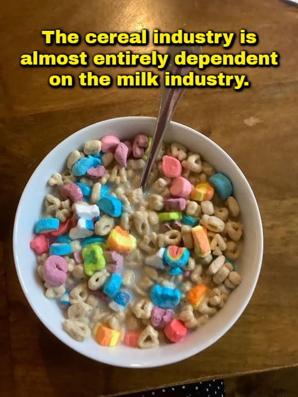 A funny shower thought top-down photograph of a white bowl filled with Lucky Charms cereal soaking in milk, with bold yellow text stating: "The cereal industry is almost entirely dependent on the milk industry."