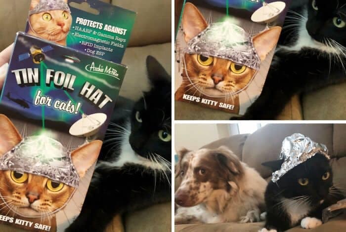 An absurd pet novelty product discovered as a funny thrift store find, showing a packaged "Tin Foil Hat for cats!" by Archie McPhee that hilariously claims to protect felines from HAARP, gamma rays, and dog ESP.