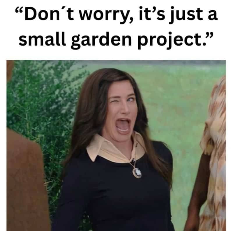 Wandavision Agatha winking meme template about starting a small garden project.