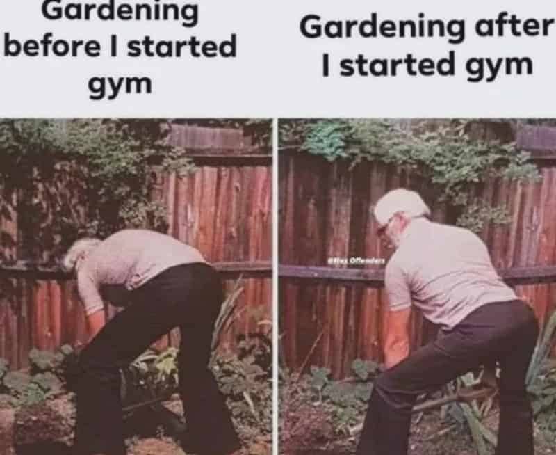 : Side by side comparison meme showing proper lifting form while digging in dirt.