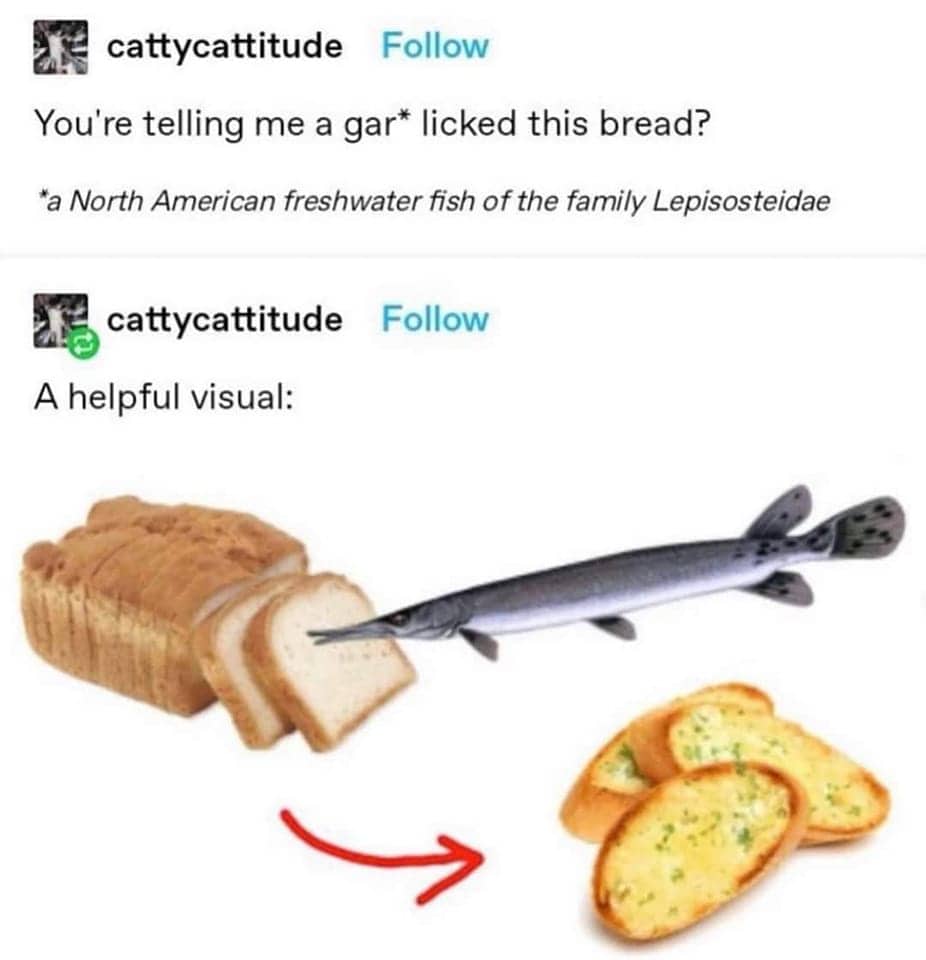 Humorous Tumblr post explaining the literal interpretation of a gar fish licking a slice of bread.
