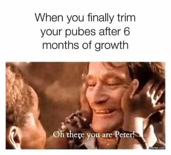 Robin Williams movie scene with a caption about trimming long hair after months.