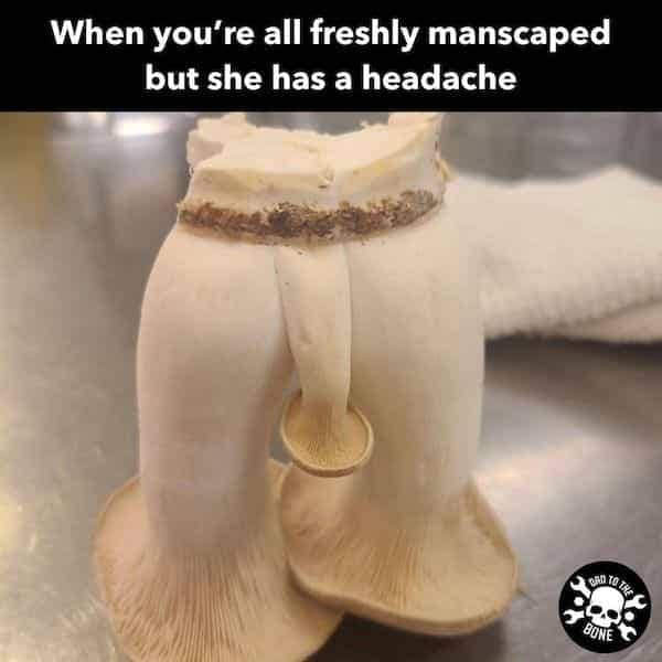 A mushroom that looks like a pair of legs and male anatomy.