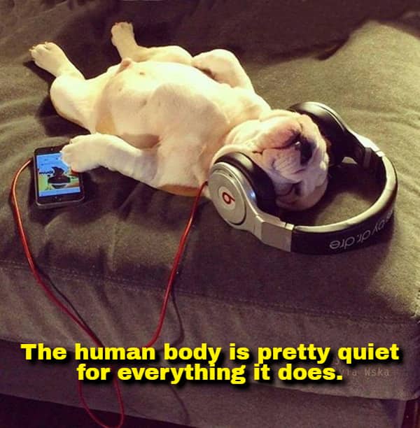 Funny thought meme noting how quiet the complex human body functions are.