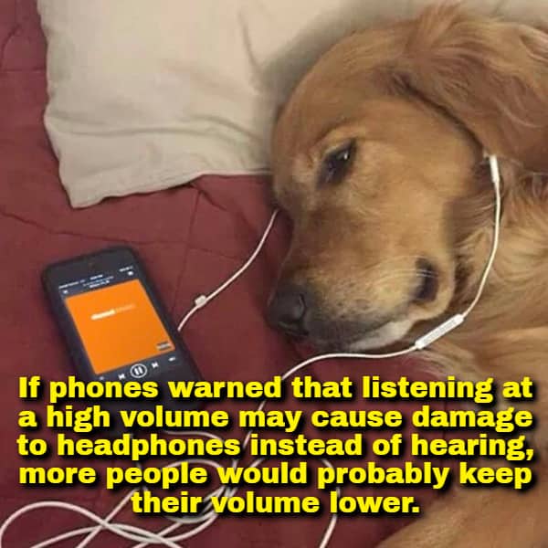 Funny headphone psychology meme about prioritizing equipment safety over personal hearing health.