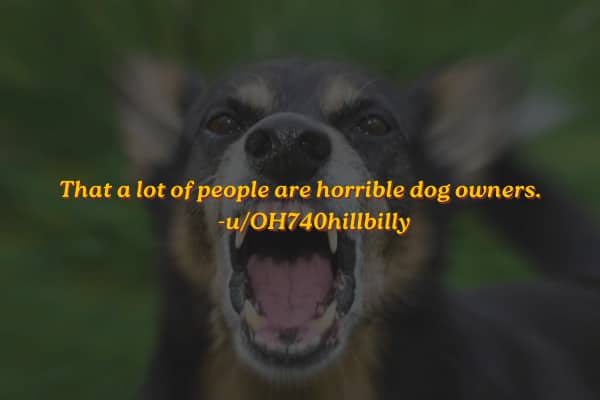 Aggressive dog snarling with bared teeth under text claiming many people are horrible dog owners.