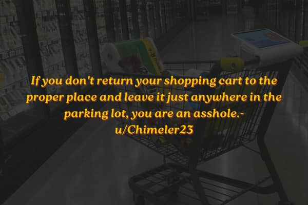 A shopping cart left abandoned inside a store aisle with text calling out lazy parking lot behavior.