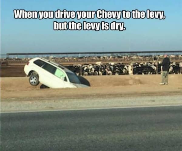 White SUV crashed nose-first into a dry ditch next to a cow pasture with American Pie lyrics.