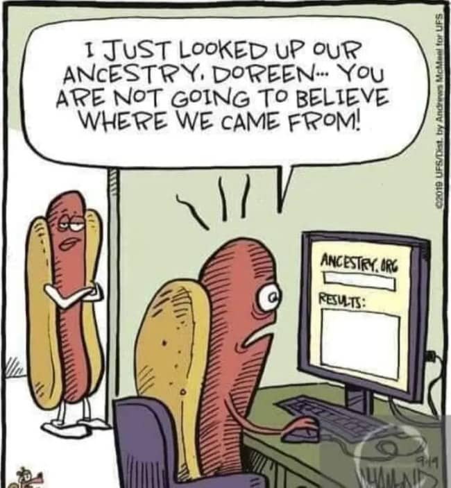Comic illustration of a hot dog character finding out shocking results on an ancestry website.