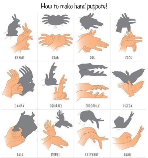 An interesting infographic grid chart titled "How to make hand puppets!" showcasing twelve line-drawn diagrams of human hand positions alongside the corresponding animal shadow shapes they cast on a wall, including a rabbit, dog, and pigeon.