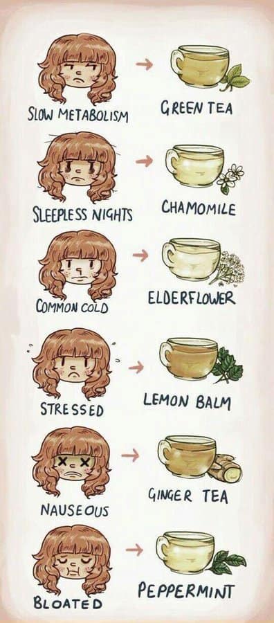 An interesting infographic holistic health manual pairing colorful sketches of everyday physical ailments like sleeplessness, stress, and bloating with corresponding herbal tea remedies like chamomile, lemon balm, and peppermint.
