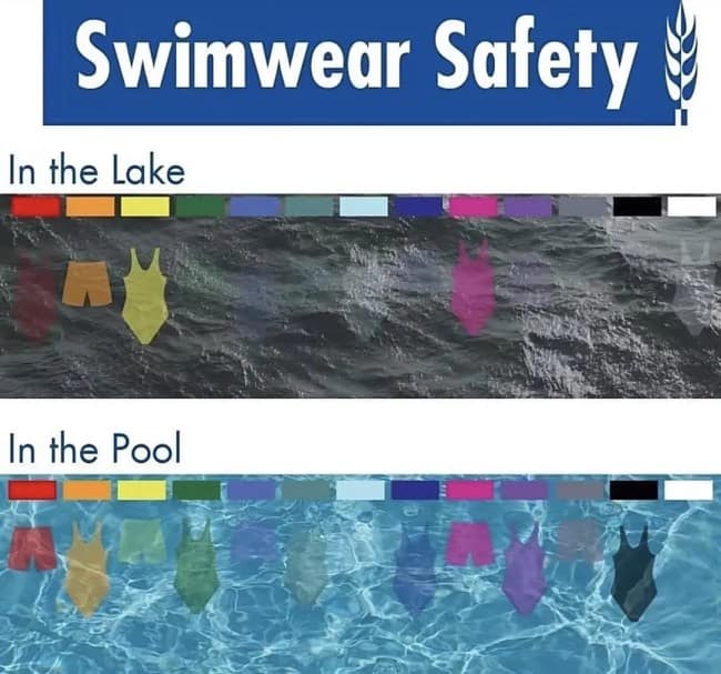 A water safety diagram functioning as an interesting infographic, mapping the underwater visibility of 14 different swimsuit colors in dark lake water versus a clear backyard swimming pool.