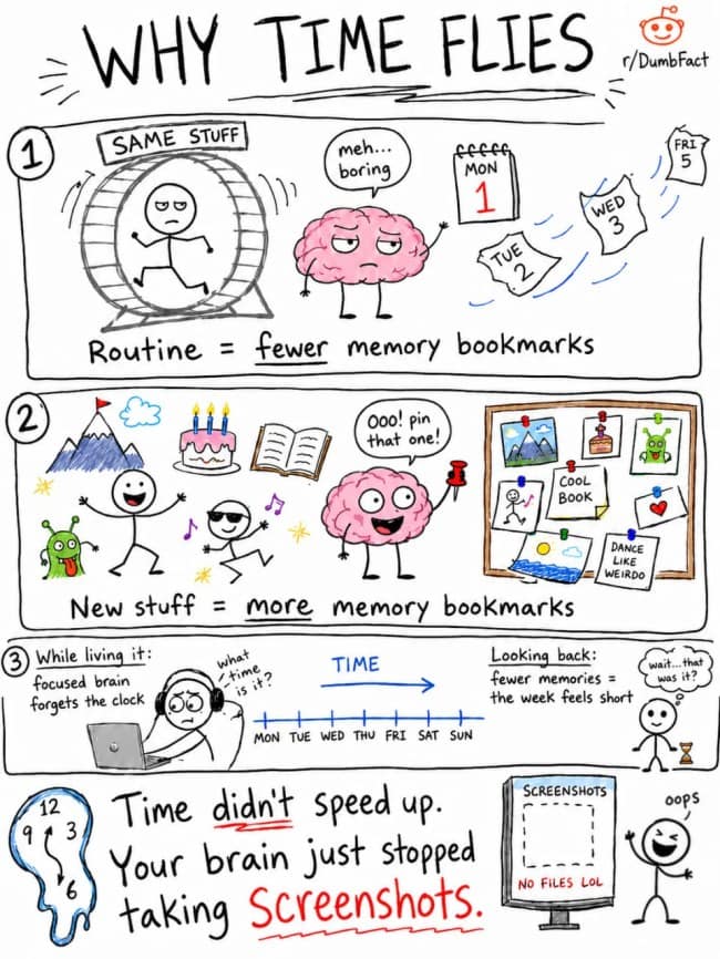 An interesting infographic psychological comic strip titled "Why Time Flies," detailing how low-variety daily routines reduce memory bookmarks using illustrations of a stick figure on a hamster wheel and a cartoon brain.