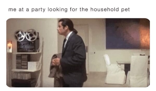 The legendary confused John Travolta scene configured as an introvert meme, capturing a suit-clad man wandering blindly around a crowded social gathering looking exclusively for the resident cat or dog.