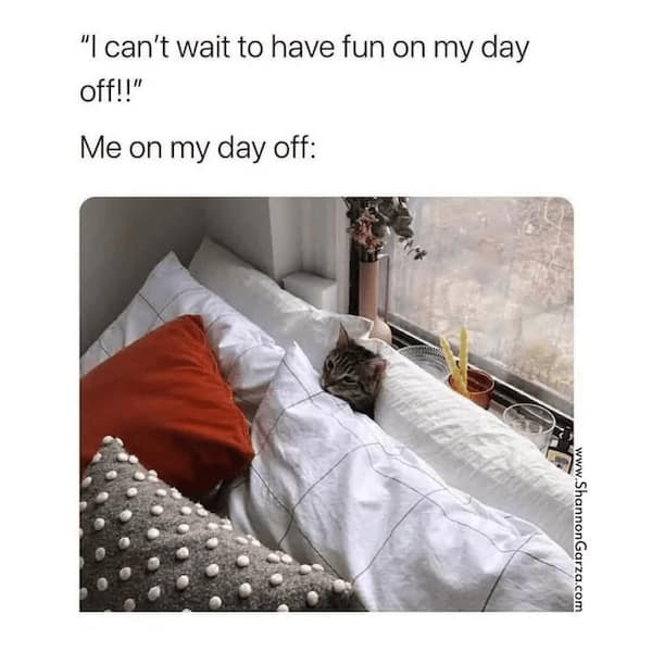 A cozy weekend-routine introvert meme featuring a small tabby cat buried completely up to its neck beneath fluffy white pillows and blankets on a window bed under the caption, "“I can’t wait to have fun on my day off!!” Me on my day off:".