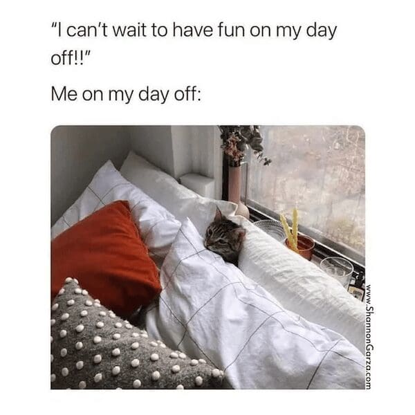 A cozy interior snapshot featuring a tiny tabby cat tucked tightly into a massive pillow fort right next to a window pane, operating as a relatable introvert meme about ideal weekend plans.