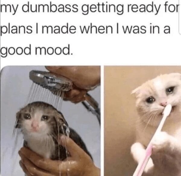 A two-panel cat illustration operating as a funny introvert meme, tracking a teary-eyed wet kitten showering and brushing its teeth in deep regret over plans made when it was briefly in a good mood.