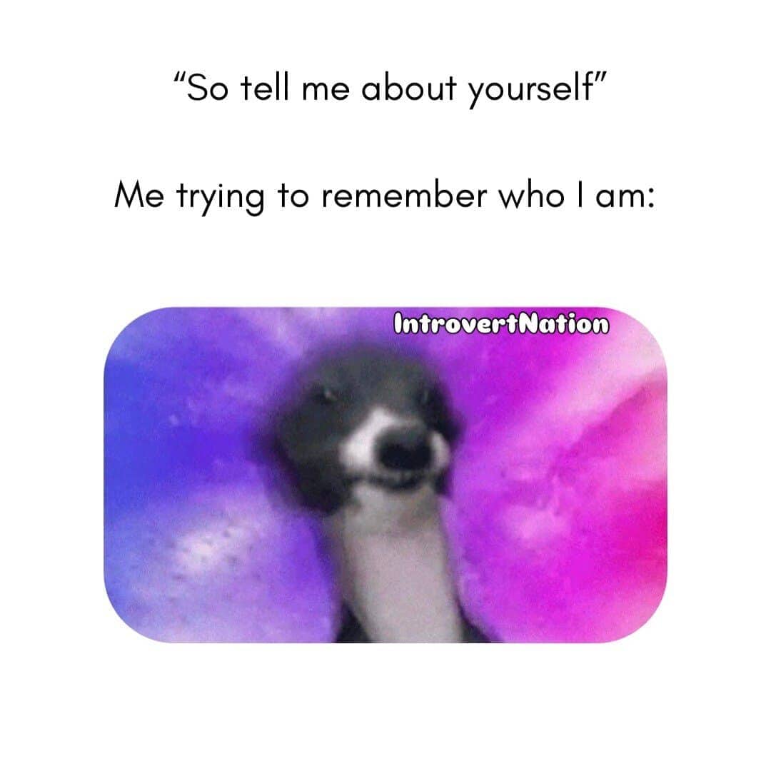Blurry, overwhelmed dog face meme depicting the panic of trying to remember who you are.