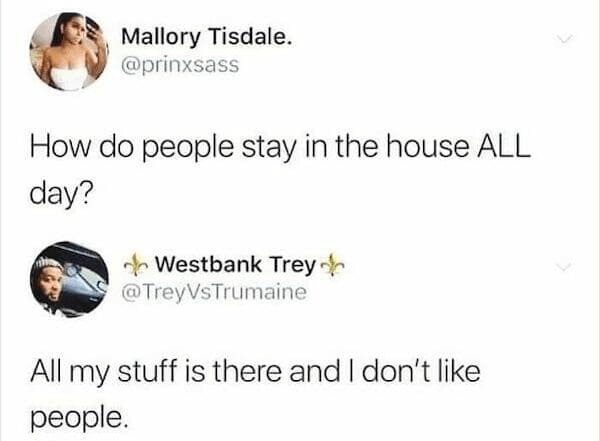 Social media text screenshot running as an intentional introvert meme, answering a question about staying indoors all day by explaining that all of their favorite stuff is there and people are absent.