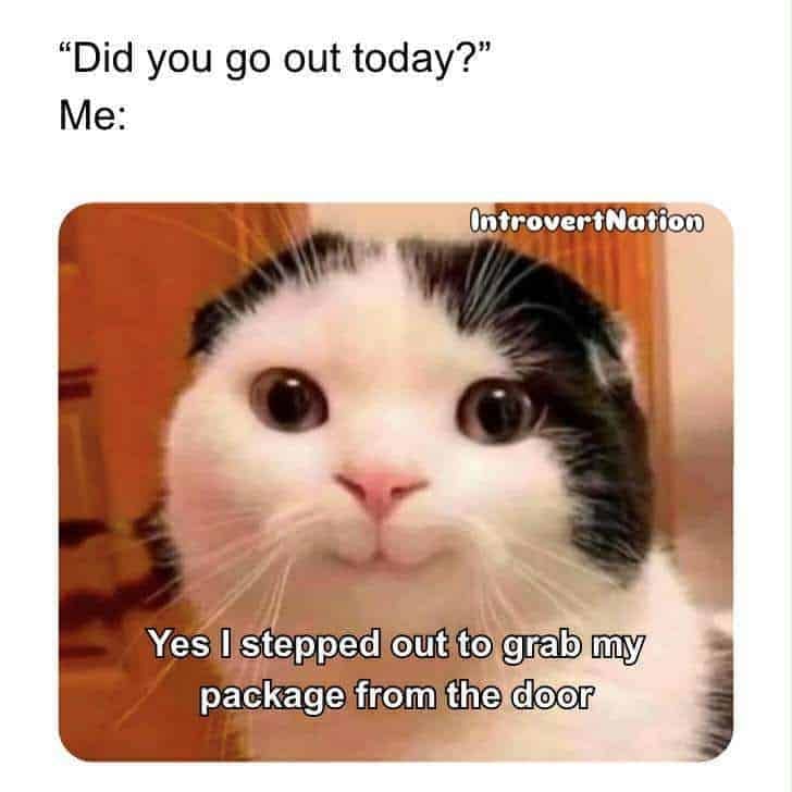 Smiling cat meme proudly declaring a successful outdoor trip just to retrieve a package.