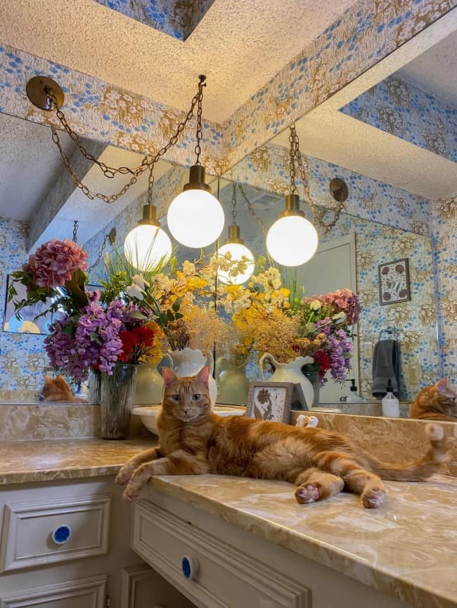 A dense bathroom vanity display highlighting floral maximalist interior design where a large orange tabby cat lies flat on a beige marble countertop flanked by massive mixed flower bouquets, decorative porcelain jugs, and hanging glass orb pendant lights.