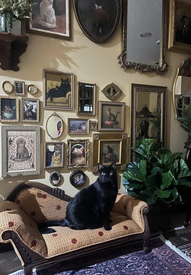 A pet-centric gallery wall defining Victorian maximalist interior design, displaying dozens of small ornate gold-framed cat paintings and antique mirrors surrounding a real black cat sitting regally on a miniature upholstered chaise lounge.
