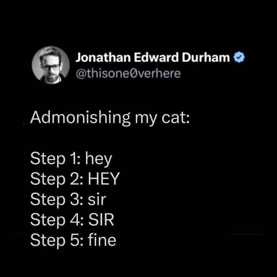 screenshot from a viral meme dump featuring a text post by Jonathan Edward Durham (@thisone0verhere). The post reads: "Admonishing my cat: Step 1: hey, Step 2: HEY, Step 3: sir, Step 4: SIR, Step 5: fine", detailing the inescapable defeat of trying to discipline a cat.