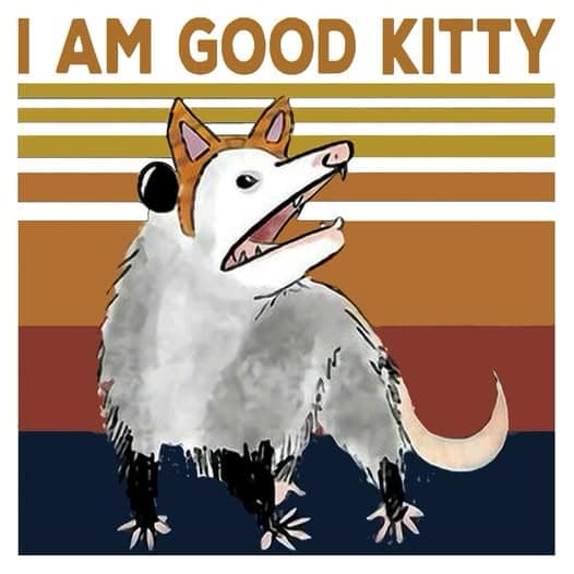 A humorous graphic design piece operating as a funny meme, showing a digital illustration of a wild opossum wearing a crude cardboard headband with cat ears against a vintage striped sunset background, topped with the bold text: "I AM GOOD KITTY".